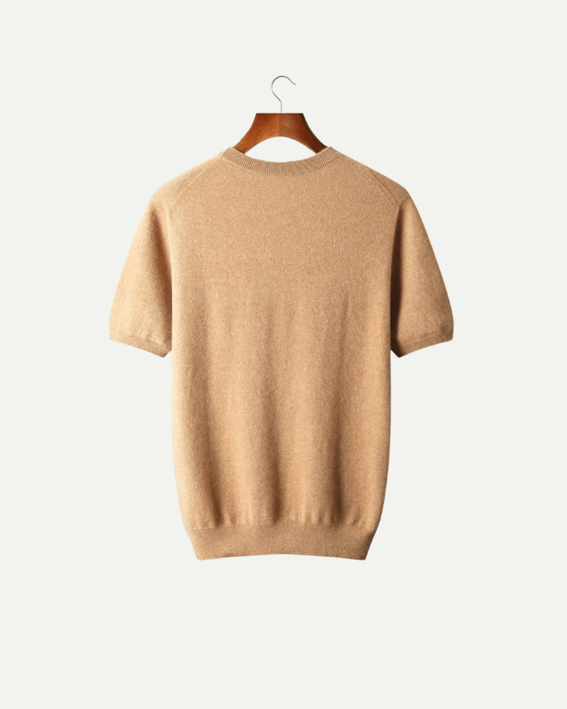 Camel cashmere wool knit T shirt men back view crew neck luxury knitwear
